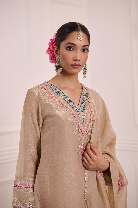 Dastaan – Chikoo Tissue Shimmer Palazzo Suit Set with Embroidered Dupatta