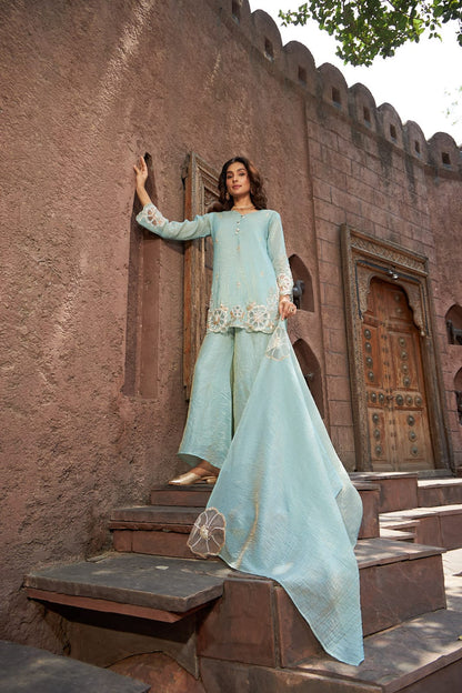 Noor-e-Sehar | Powder Blue Embroidered Sharara Set | Rakhi outfits for Women