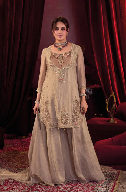 Sultana – Champagne Shimmer Kurta with Embroidered Divider & Handwork Detailing | Reception & Bridal Ethnic Wear for Women